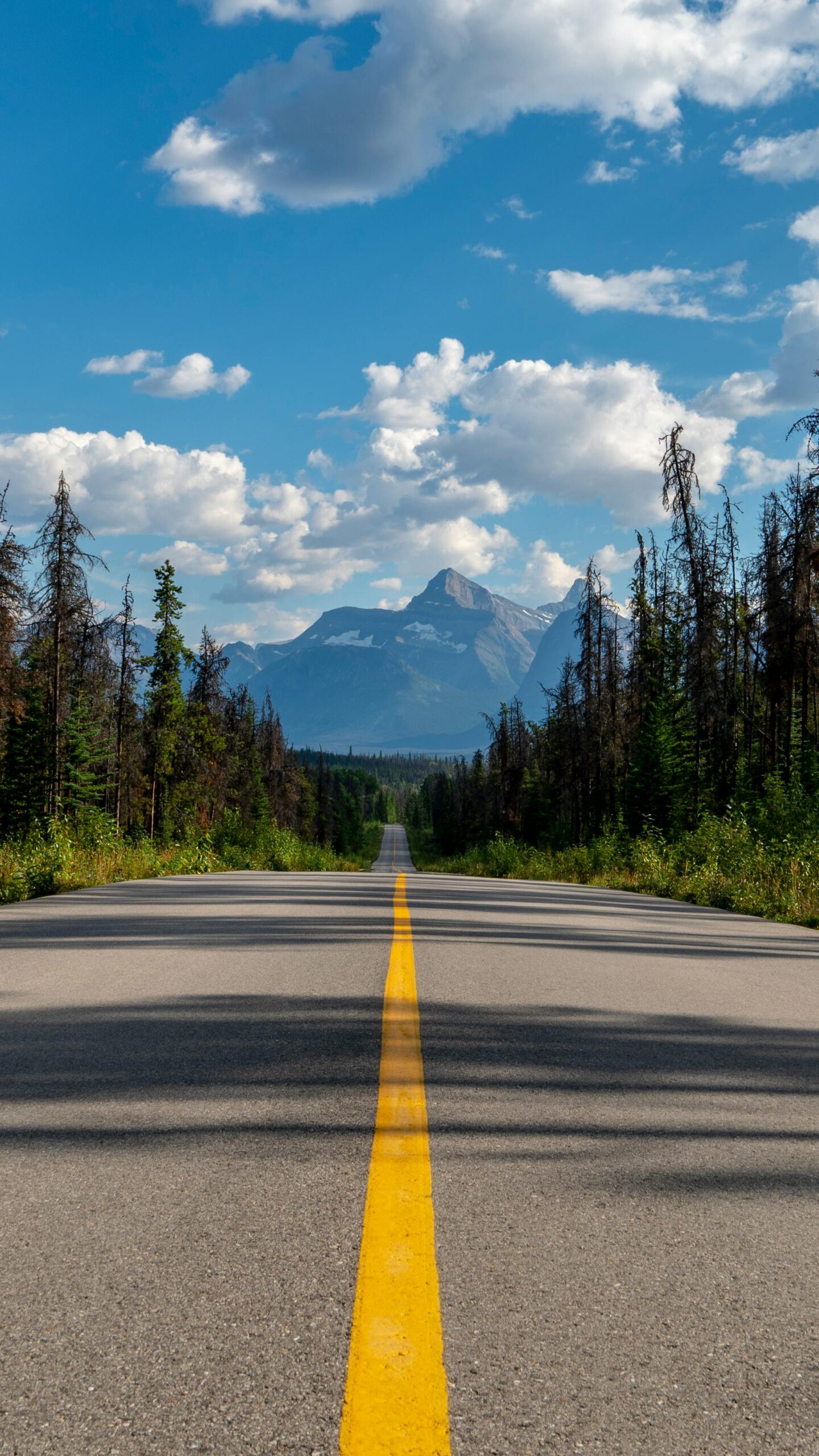 Car insurance for drivers across Nova Scotia and Atlantic Canada