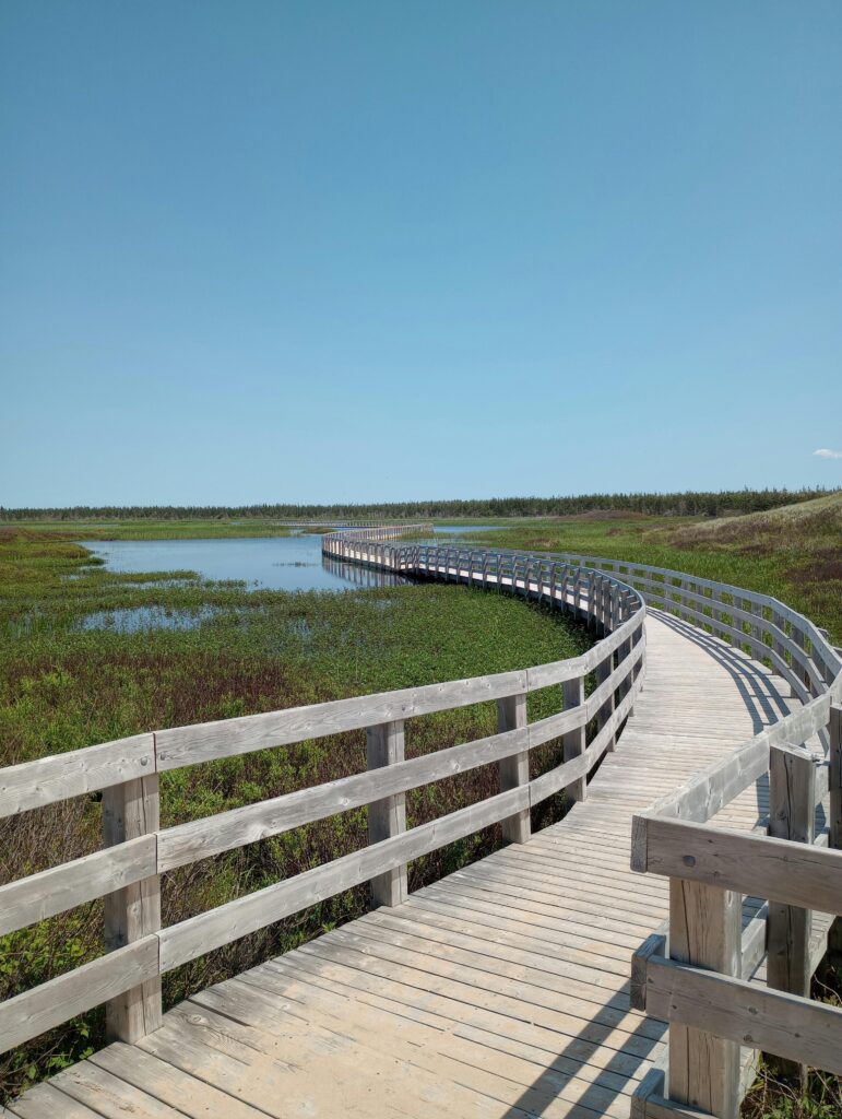 Boardwalk over Prince Edward Island wetlands, the Island setting behind CAPEI home and auto insurance