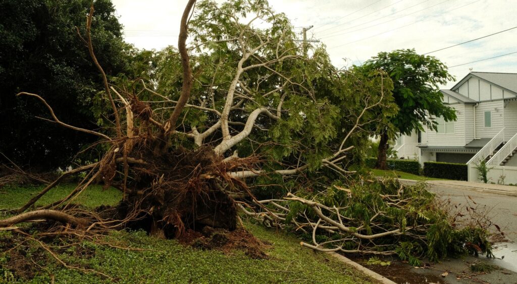 Uprooted tree across a suburban street after a storm, a common home insurance claim